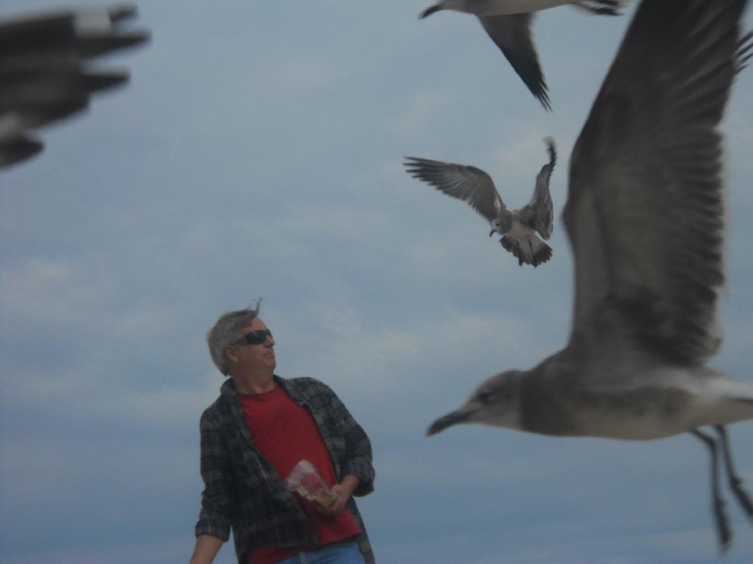 Delaware - Rehoboth Beach