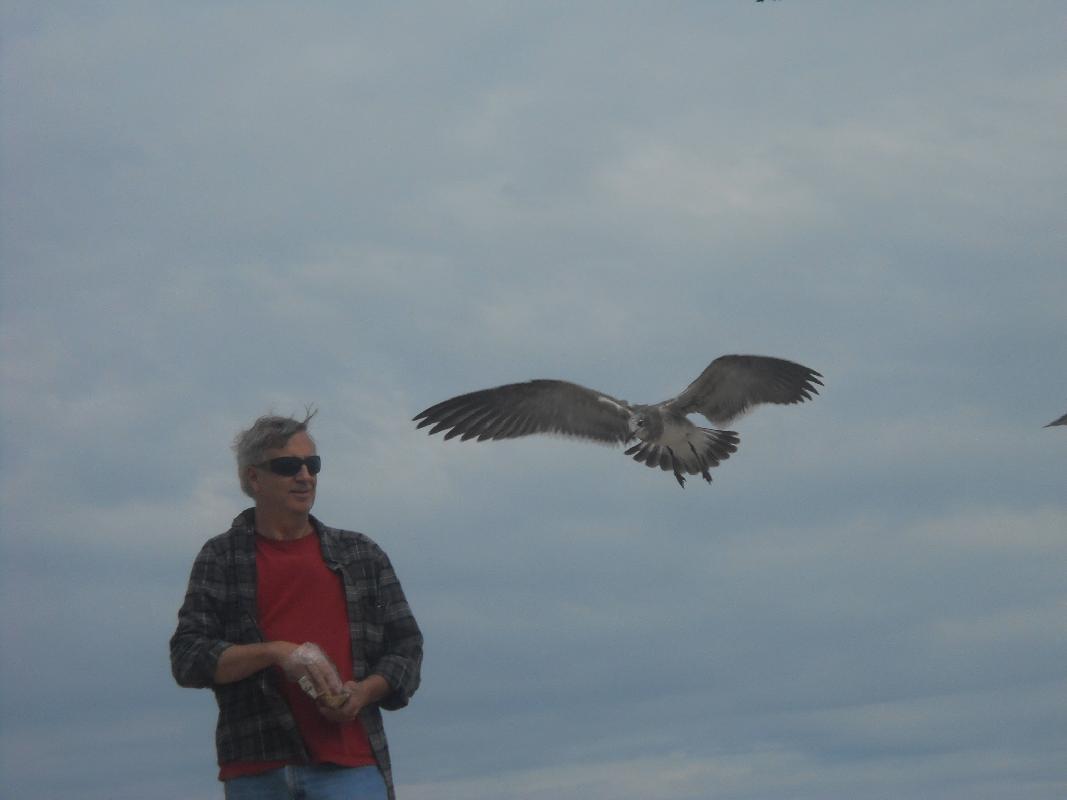 Delaware - Rehoboth Beach