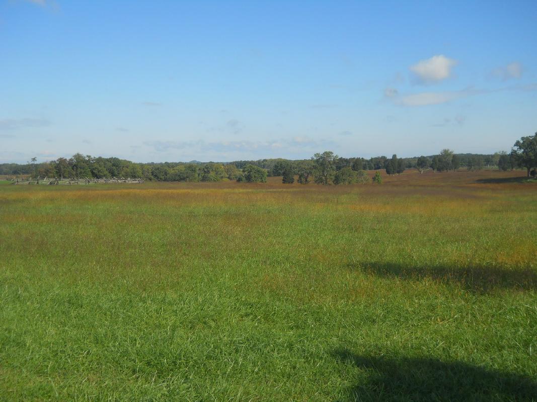 Virginia - 1st and 2nd Manassas or Bull Run