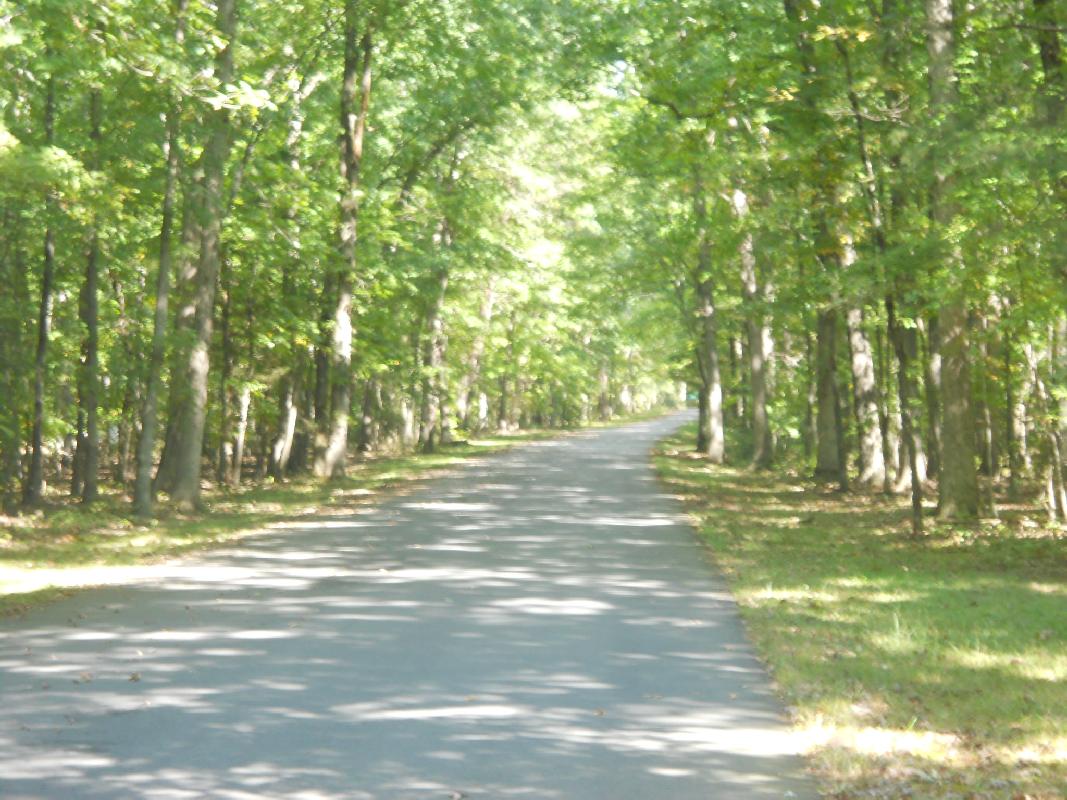 Virginia - Chancellorsville