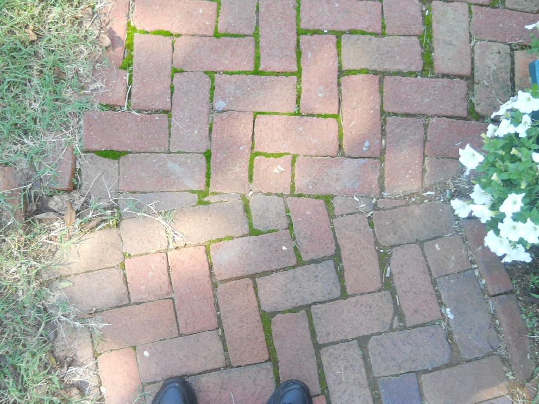 West Virginia - Charlestown - Claymon Mansion