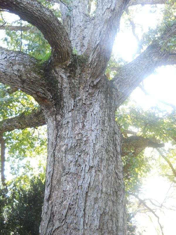 West Virginia - Charlestown - Claymon Mansion