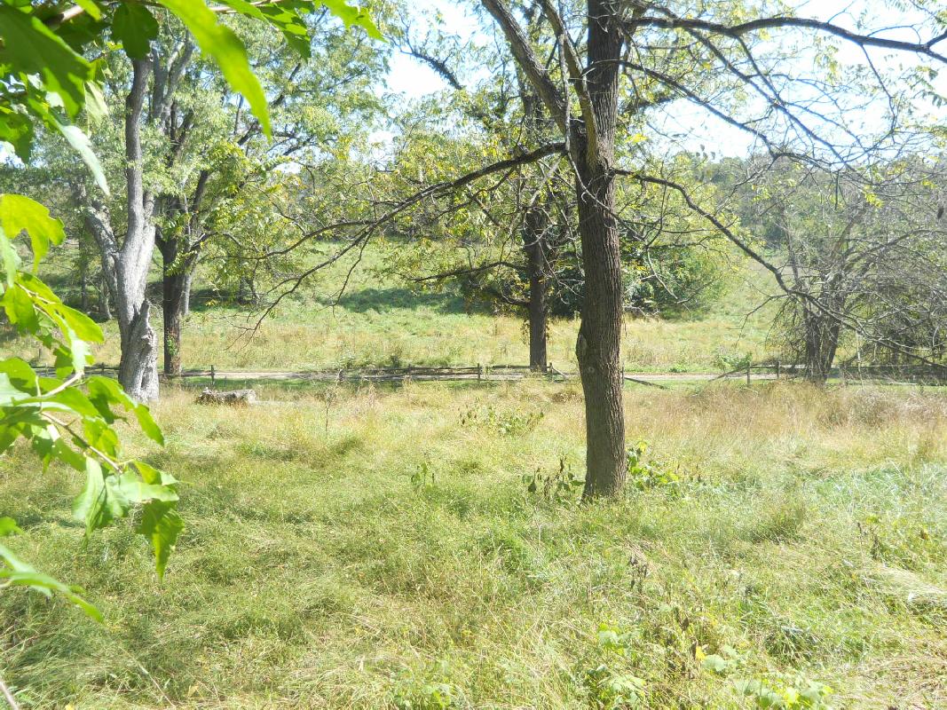West Virginia - Charlestown - Claymon Mansion