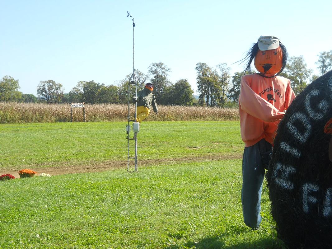 An Apple Farm between Shepherdtown and Charlestown