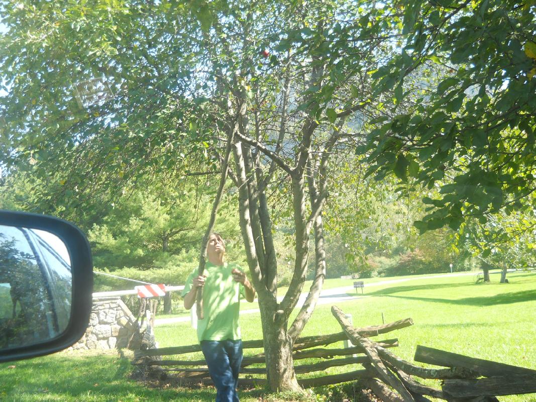 West Virginia - Getting that apple