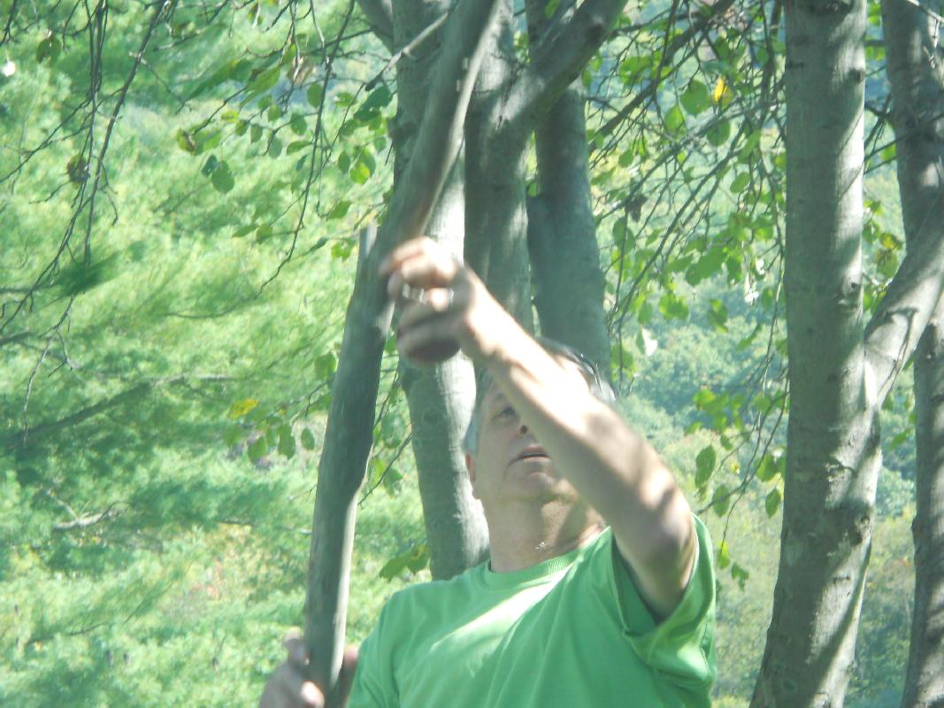 West Virginia - Getting that apple