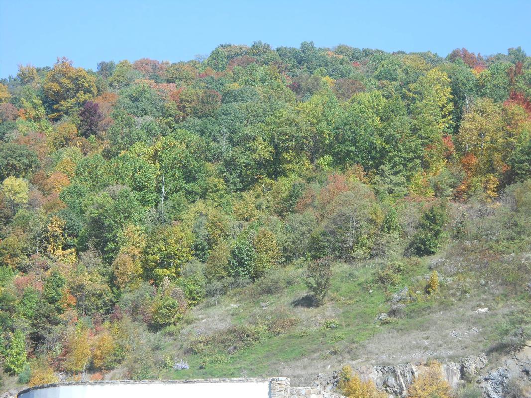 Virginia to North Carolina south