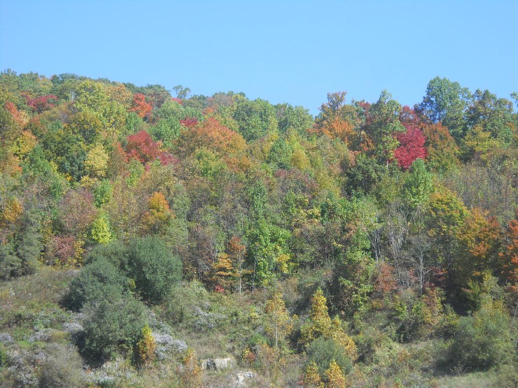 Virginia to North Carolina south