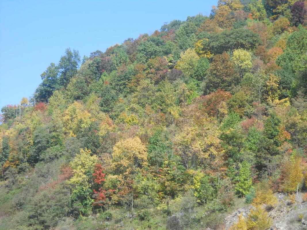 North Carolina south