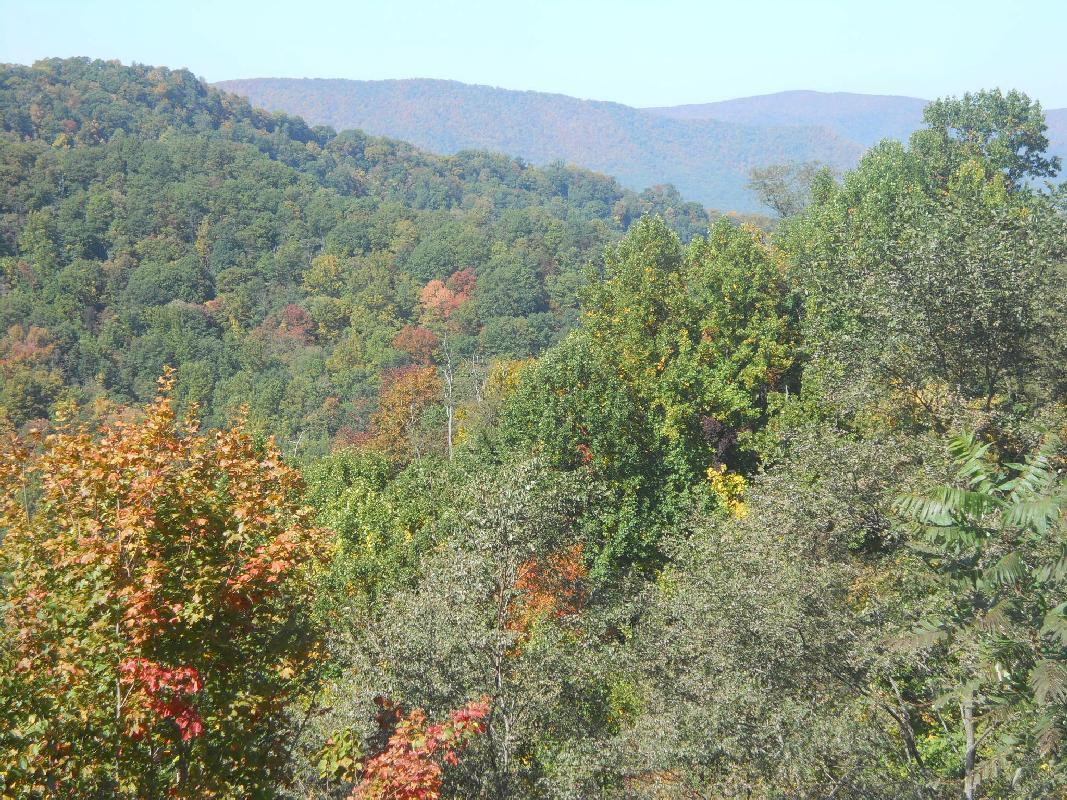 North Carolina south