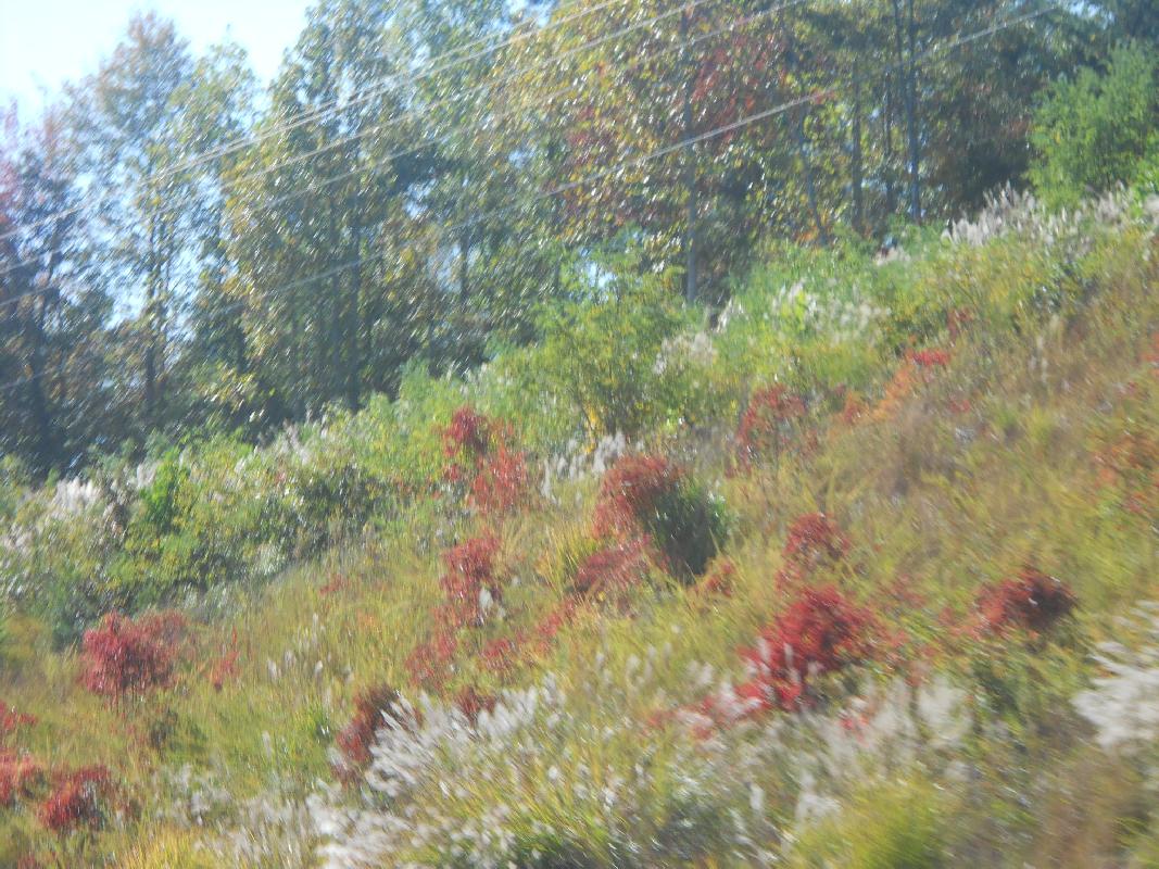 North Carolina - Blue Ridge Parkway from Ashville