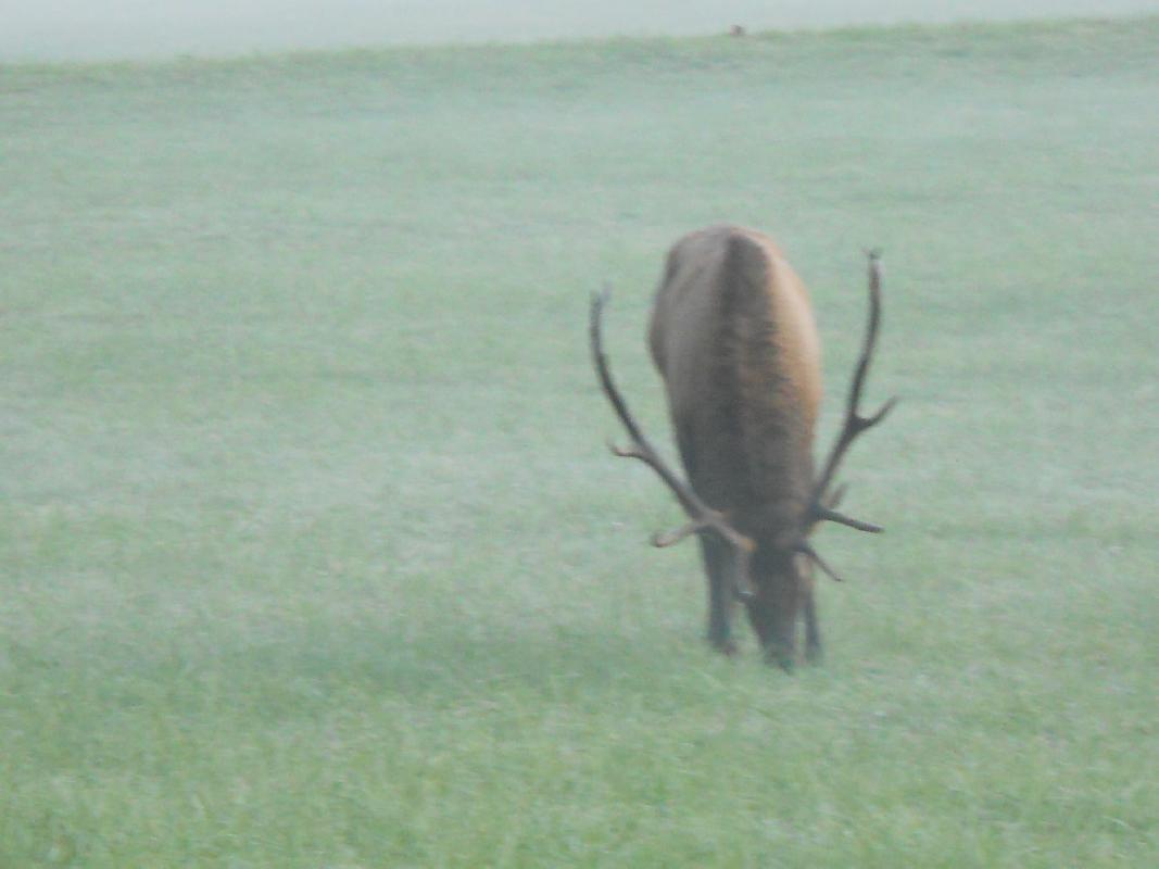 North Carolina - Great Smokies NationalPark