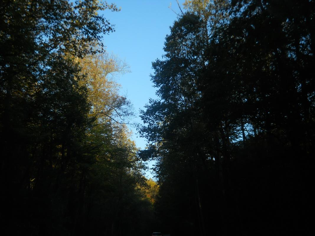 North Carolina - Great Smokies NationalPark