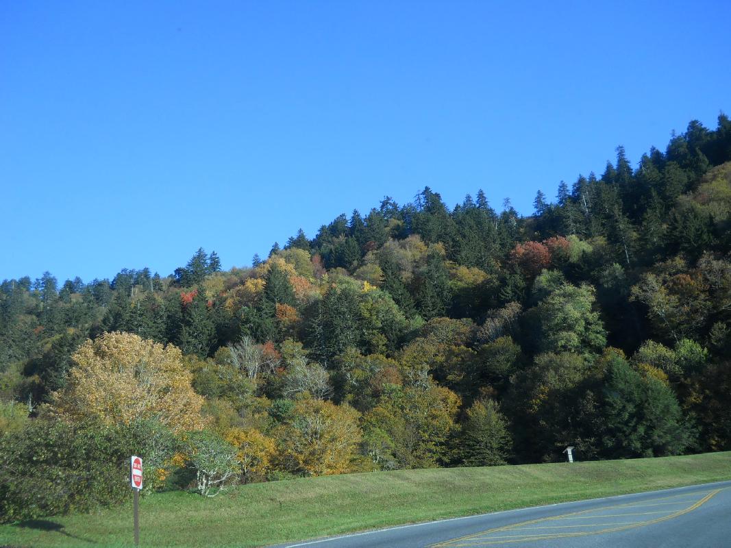 North Carolina - Great Smokies NationalPark