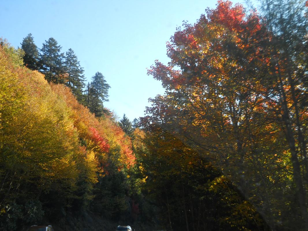 North Carolina - Great Smokies NationalPark