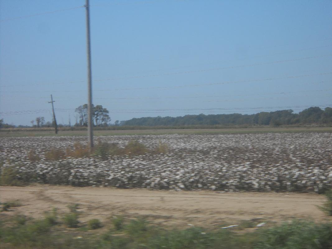 Mississippi - Highway 61