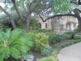 Texas - San Antonio - The Alamo