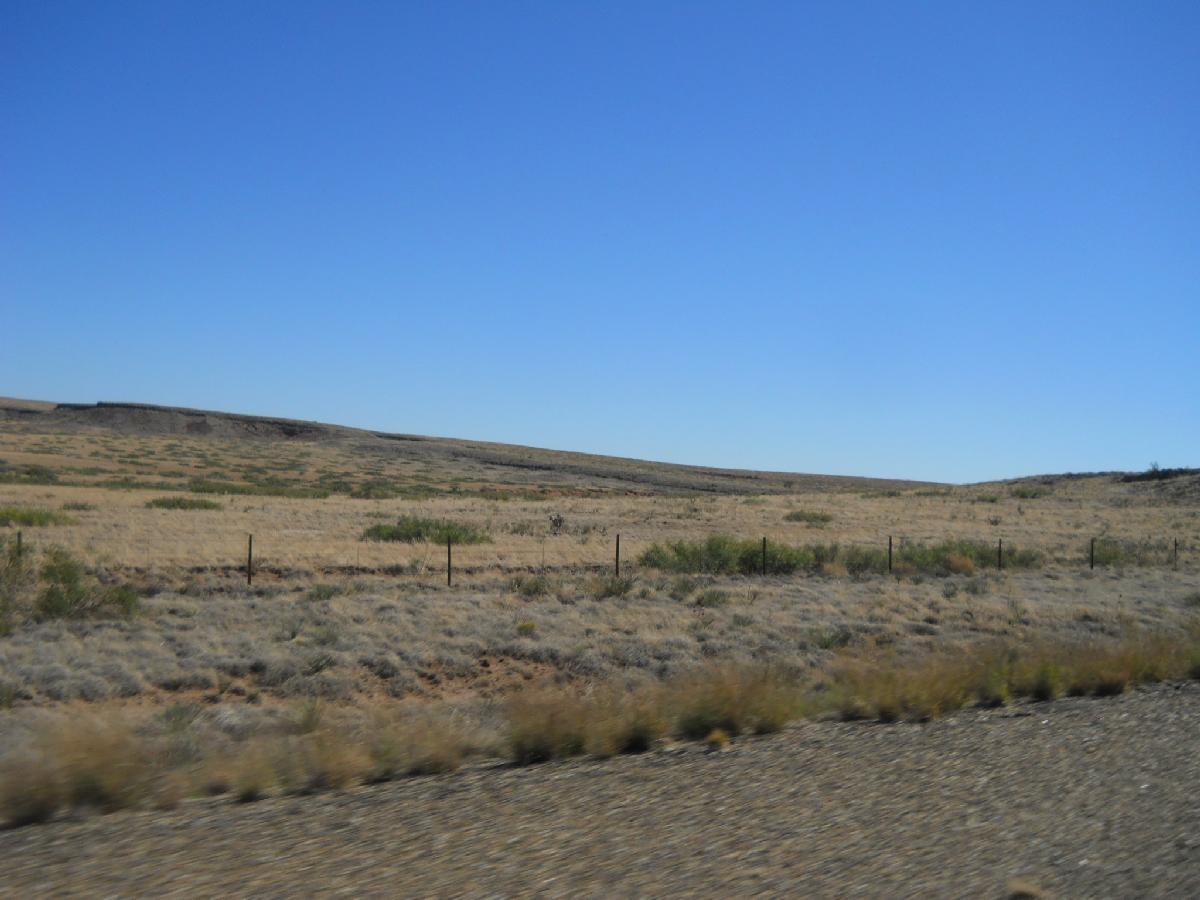 New Mexico - near Ft. Sumner