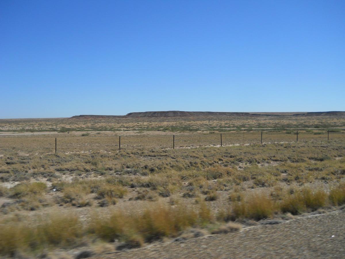 New Mexico - near Ft. Sumner