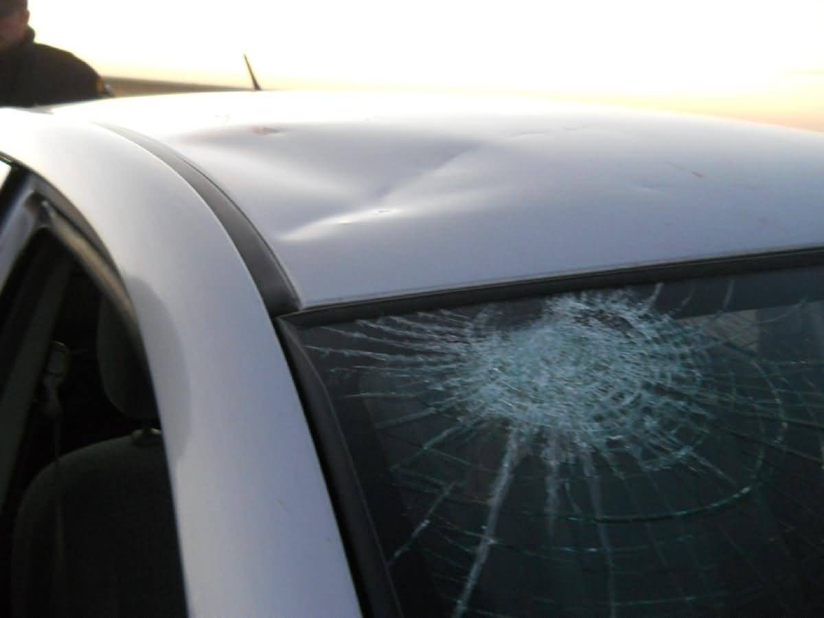 Colorado - Lamar - Deer Country