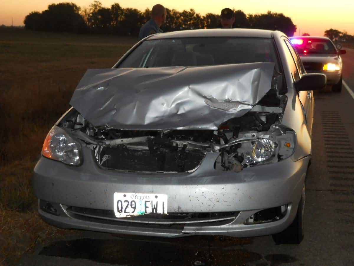 Colorado - Lamar - Deer Country