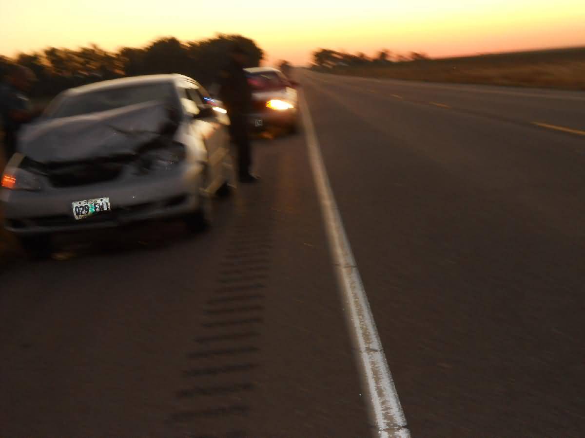 Colorado - Lamar - Deer Country