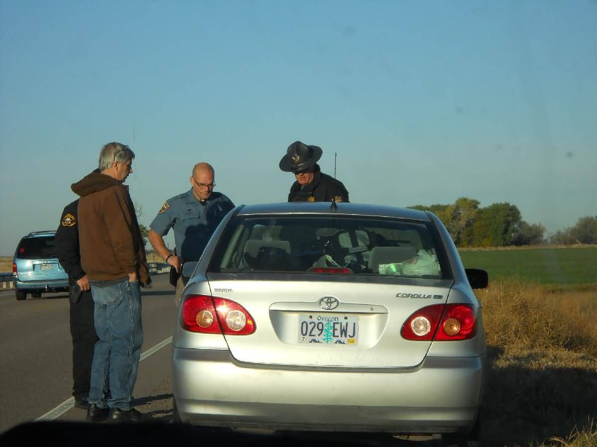 Colorado - Lamar - Deer Country