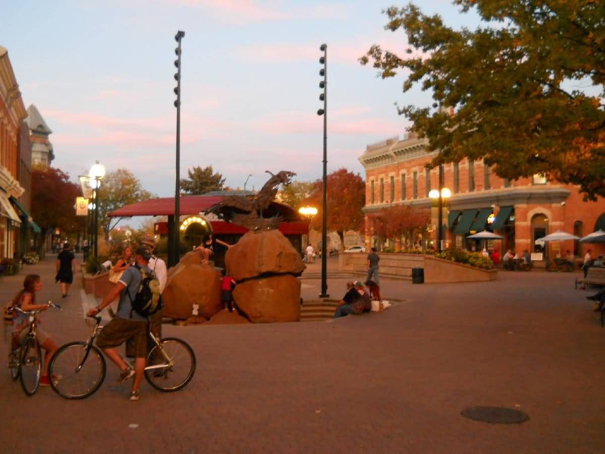 Colorado - Ft. Collins