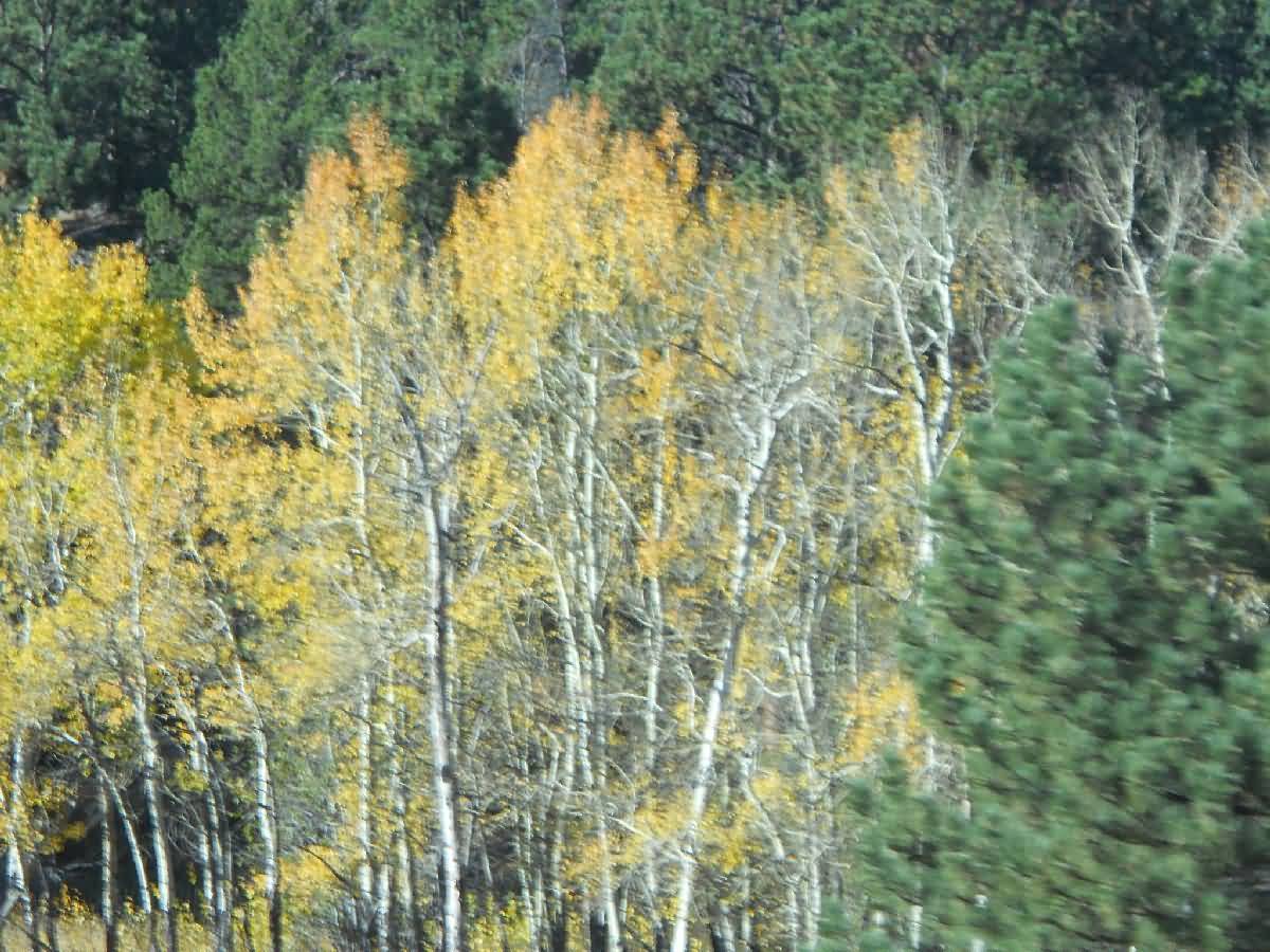 Colorado - Estes Park, Rocky Mtn National Park