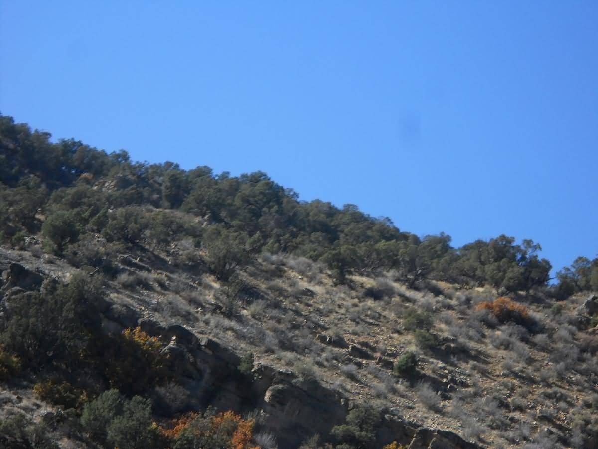 Colorado - Western Slope, Grand Junction