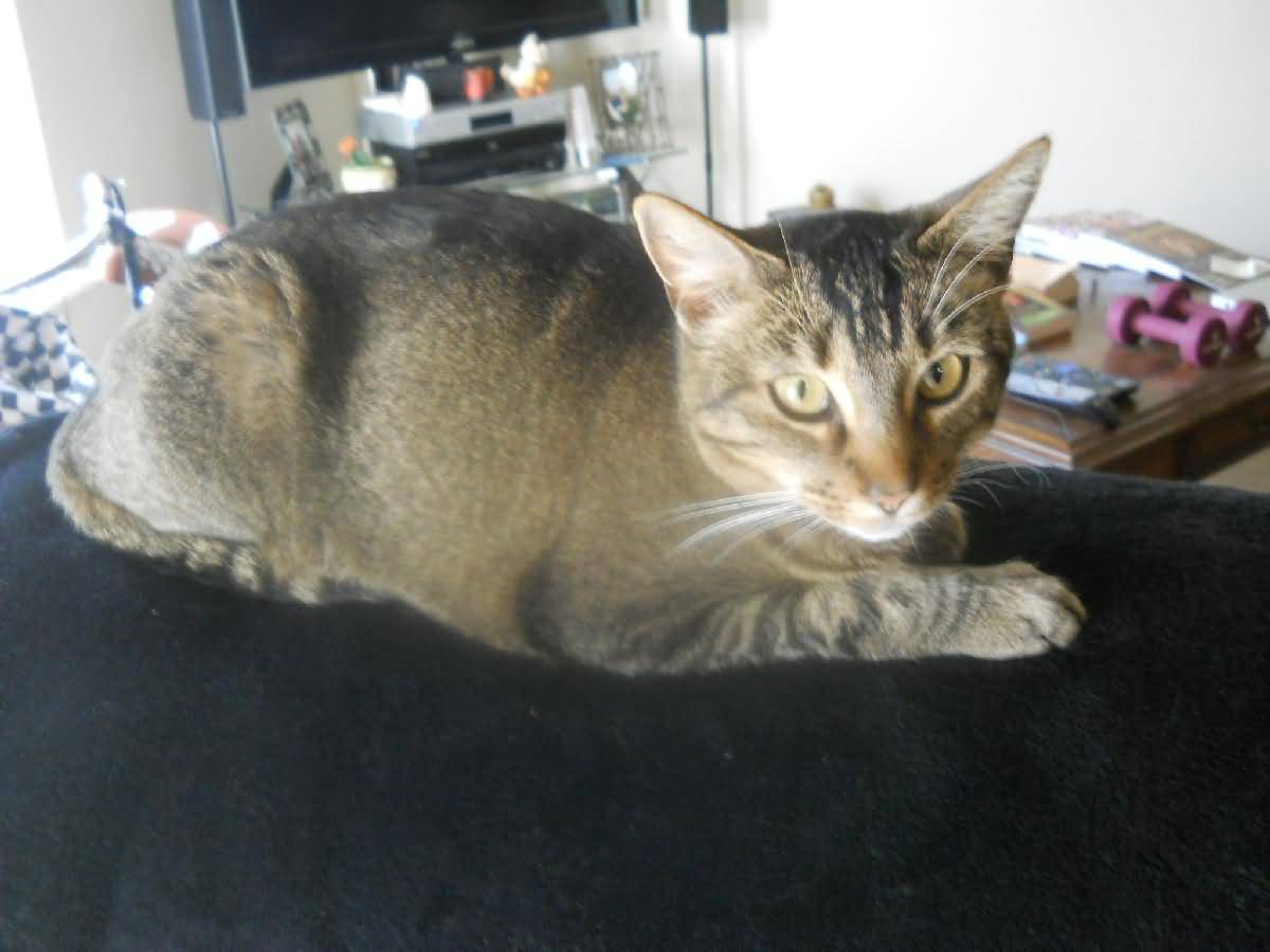 Colorado - Western Slope, Grand Junction