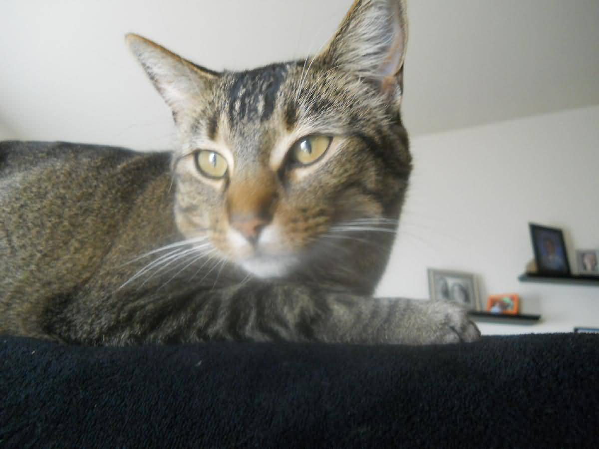 Colorado - Western Slope, Grand Junction