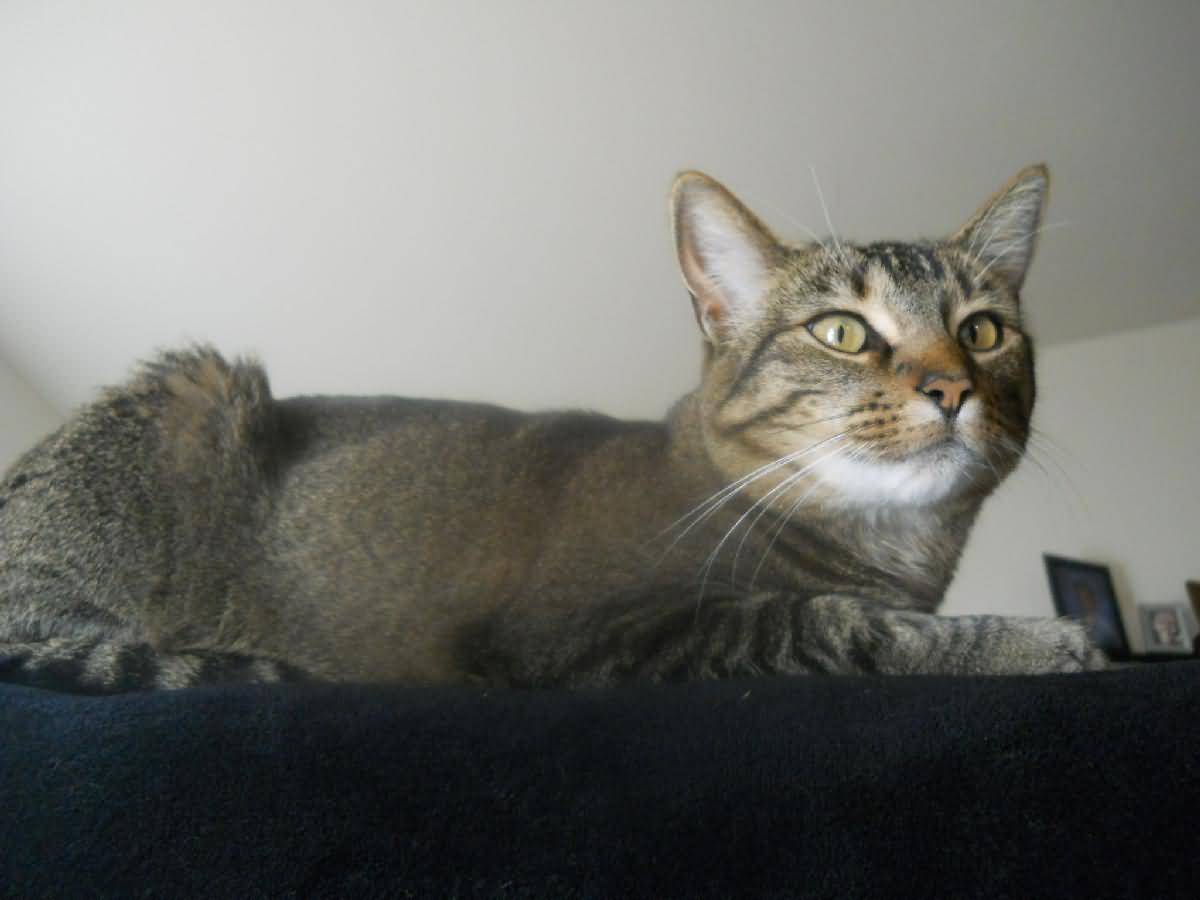 Colorado - Western Slope, Grand Junction