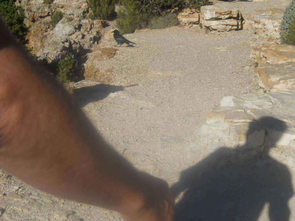 Arizona - Grand Canyon