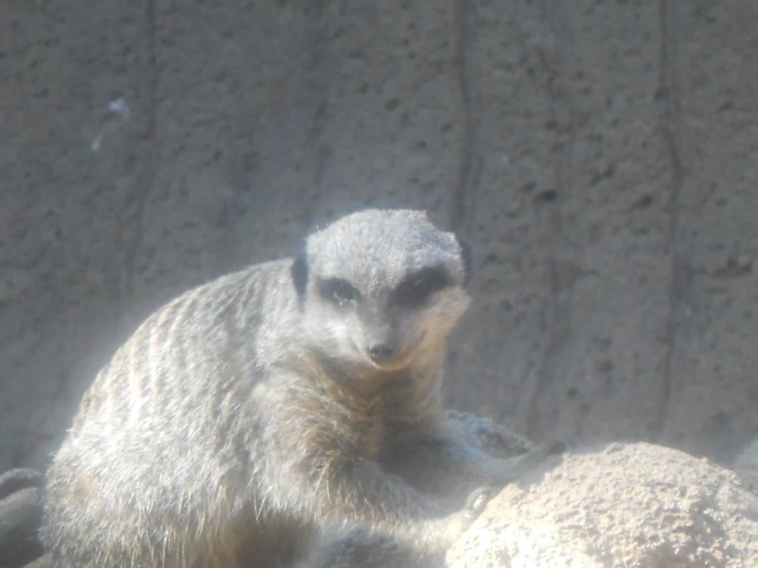 Louisville Zoo