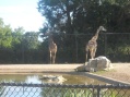 Louisville Zoo