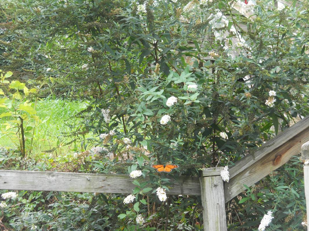 Harpers Ferry, West Virginia