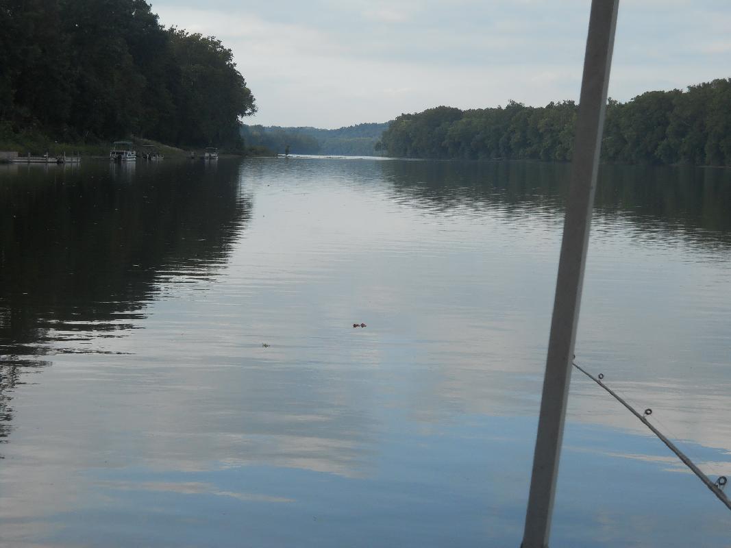 Upstream from the confluence of the Shenendoah and Potomac Rivers at Harper's Ferry