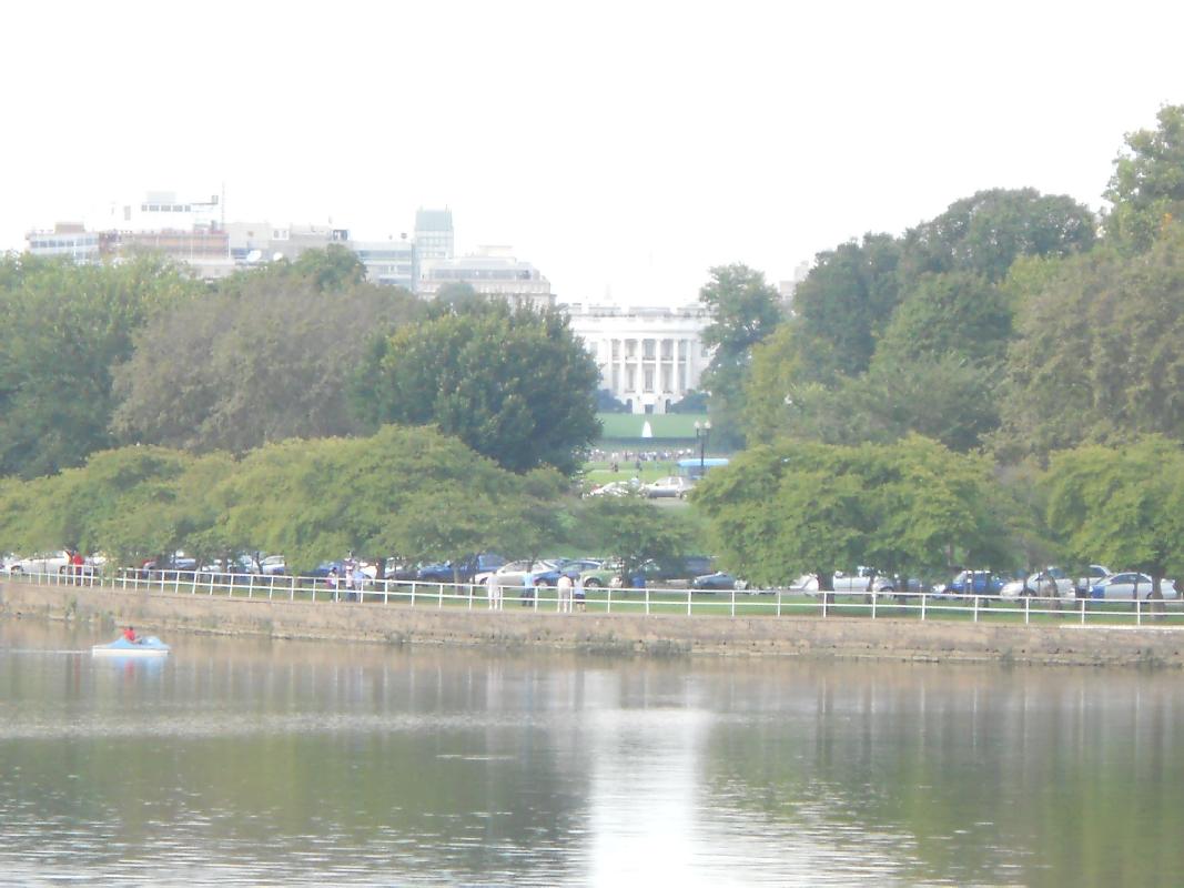 Jefferson looks directly at this house