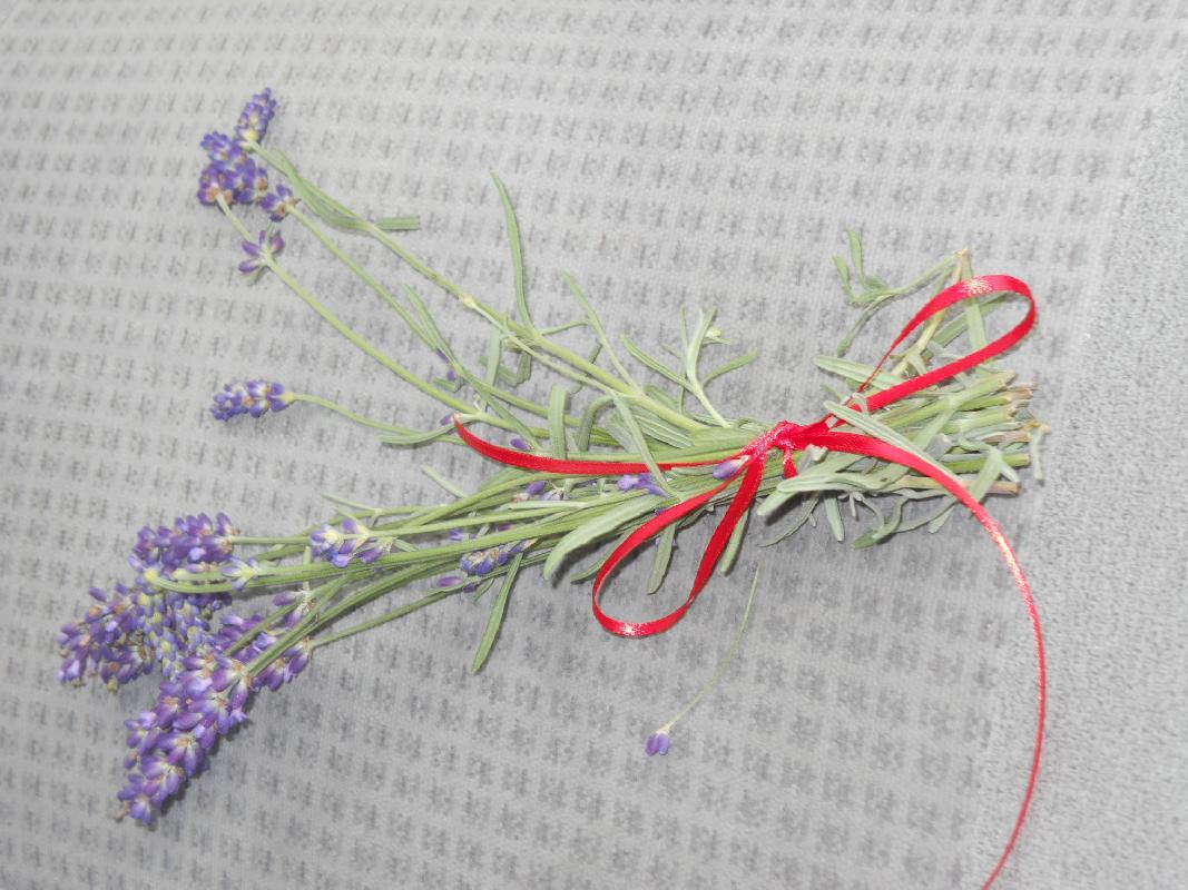 A fragrant talisman for our New England swing