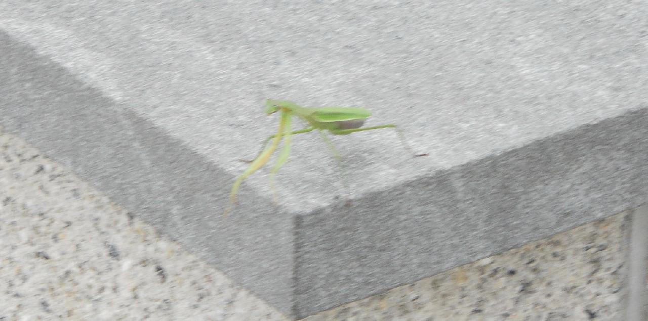 Gettysburg National Cemetery