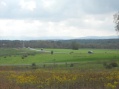 Looking down to area around McPherson Barn - 7,000 Confederates were gathered here