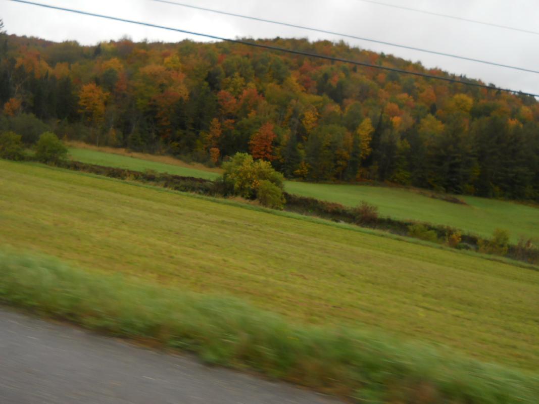 Vermont
