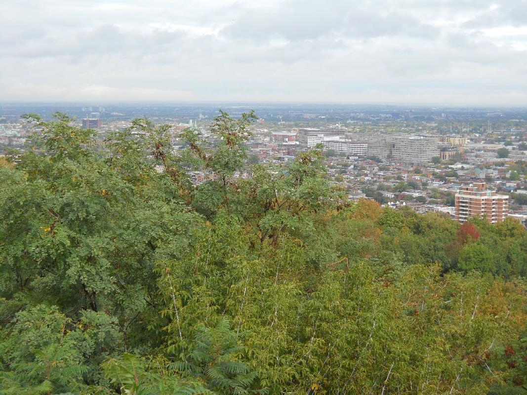 Montreal - Looking North From Mont Royal