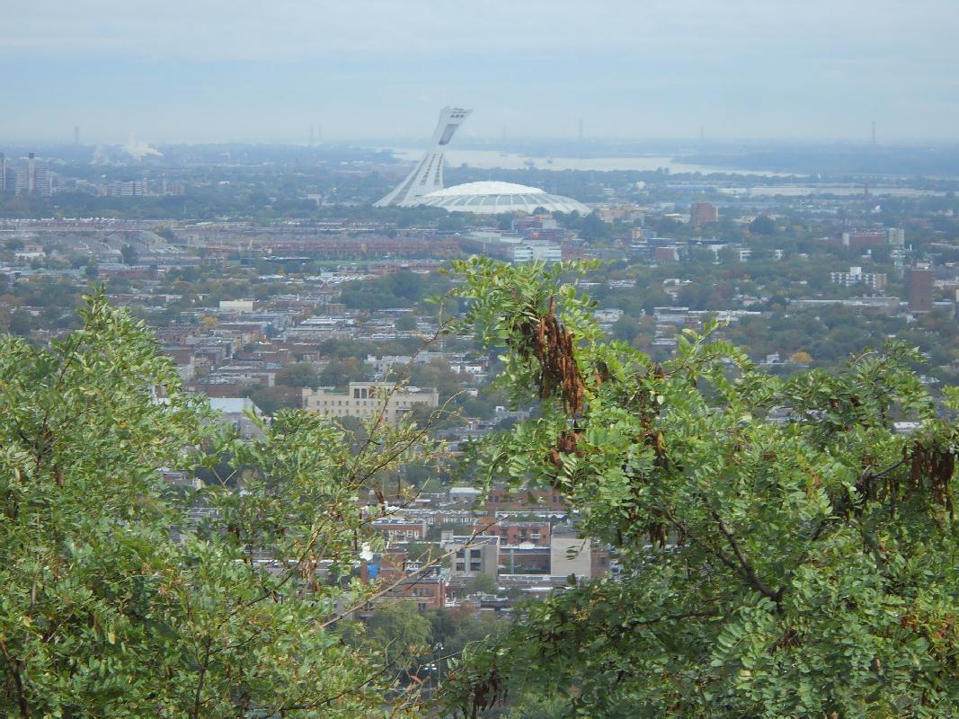 Montreal - Looking North From Mont Royal