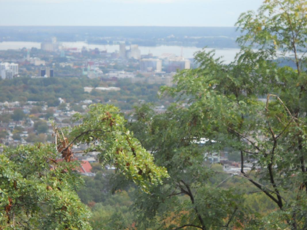 Montreal - Looking North From Mont Royal
