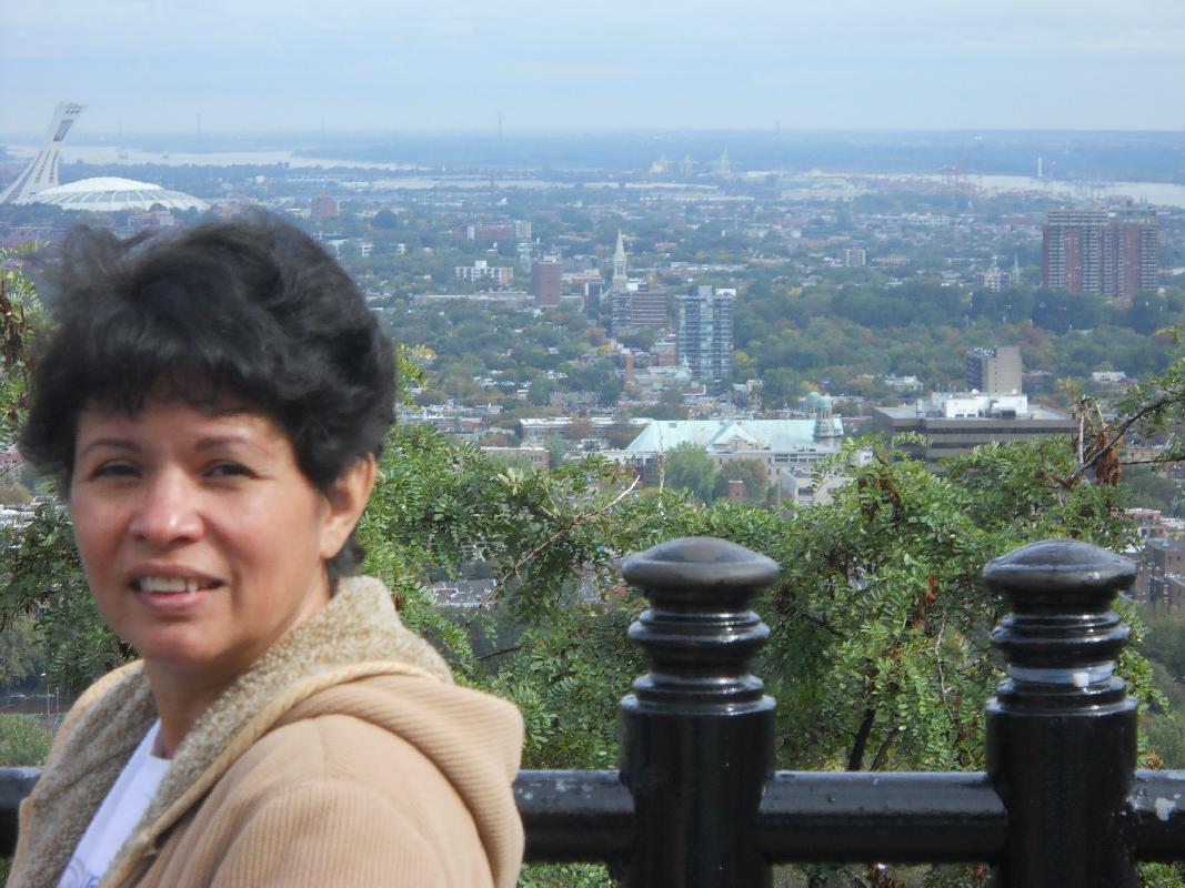 Montreal - Looking North From Mont Royal