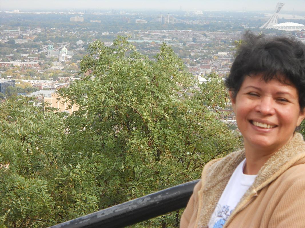 Montreal - Looking North From Mont Royal