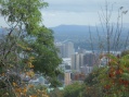 Montreal - Looking North From Mont Royal