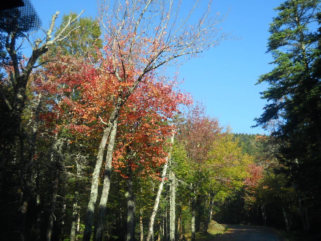 New Hampshire - Mt. Washington